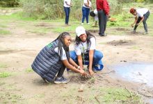 Corporations in Kenya join govt in ambitious plan to plant 15 billion trees
