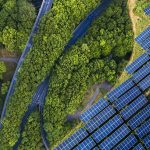 COP29: SEforAL and IBM Unveil AI Solutions for Energy and Urban Growth